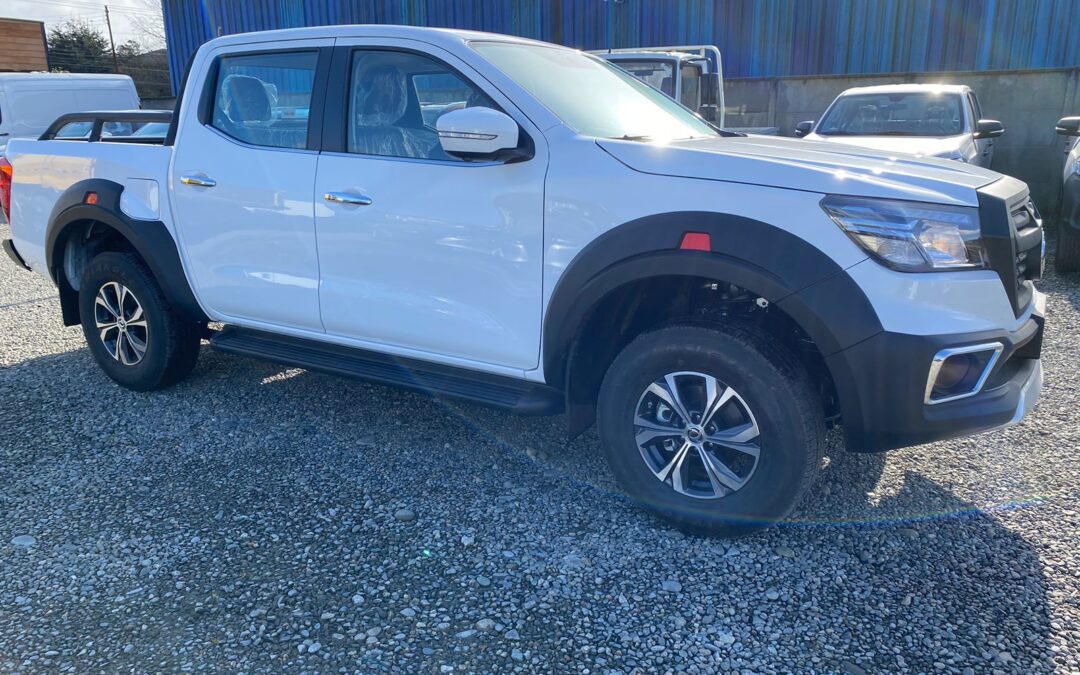 DFSK D1 LUXURY 4X4 AT E6